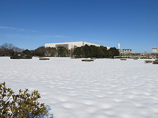 ④自由広場 - 2