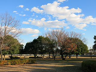 ④自由広場 - 4