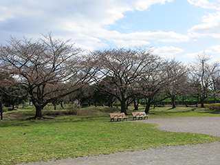 ⑦ふれあい広場 - 2
