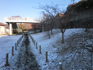 ③モミジゾーン - 1