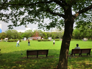 ⑤ちびっこ広場 - 1