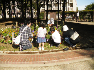 尾久の原公園花の会 - 1