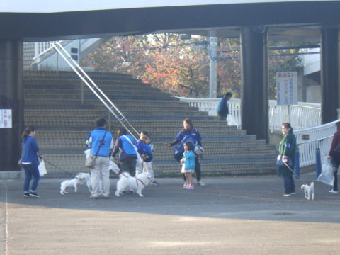 わんわんサポーター綾瀬 - 4