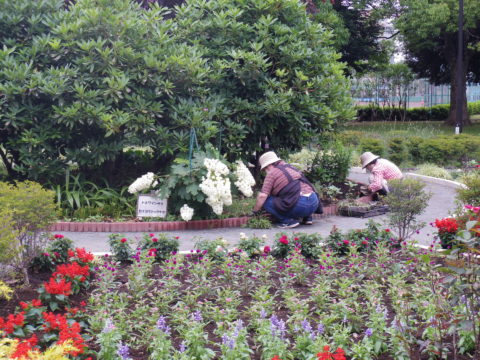 東綾瀬公園MKN会 - 4