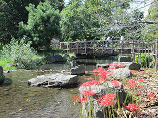 ⑨やざえもん橋 - 4