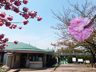 ①サービスセンター - 1