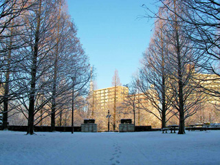 ⑤中央休憩広場 - 4