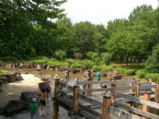 ⑦じゃぶじゃぶ池 - 1