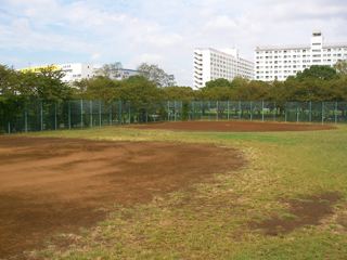 ④多目的広場 - 1