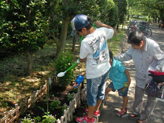 かめいど花の会 - 1